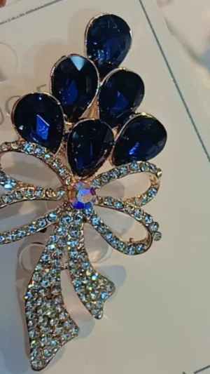 Exclusive Brooch Designs India